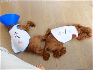 s-DSCF4048.jpg