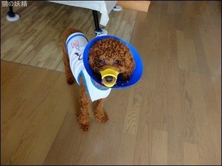 s-DSCF4057.jpg