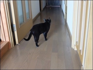 s-DSCF4086.jpg