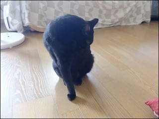 s-DSCF4126.jpg