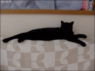 s-DSCF4131.jpg
