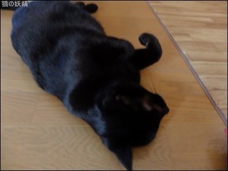 s-DSCF4132.jpg