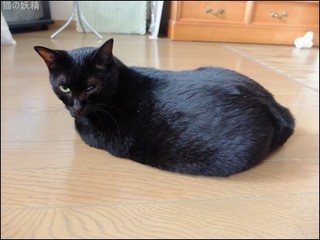 s-DSCF4274.jpg