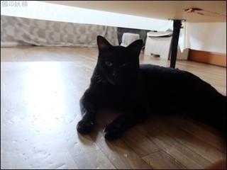 s-DSCF4286.jpg