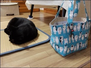 s-DSCF4307.jpg
