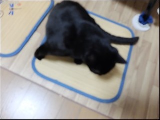 s-DSCF4311.jpg