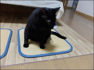 s-DSCF4312.jpg