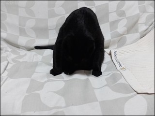 s-DSCF4316.jpg