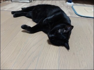 s-DSCF4343.jpg