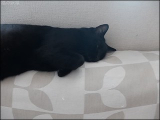 s-DSCF4346.jpg