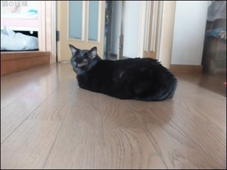 s-DSCF4531.jpg