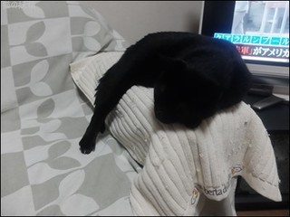 s-DSCF4555.jpg