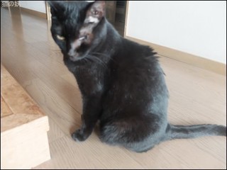 s-DSCF4556.jpg