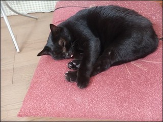 s-DSCF4560.jpg