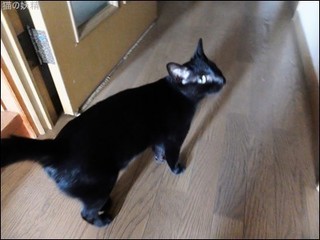 s-DSCF4565.jpg