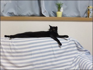 s-DSCF4579.jpg