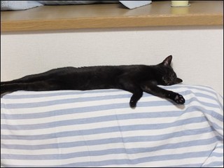 s-DSCF4581.jpg