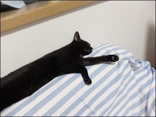 s-DSCF4583.jpg