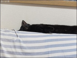 s-DSCF4586.jpg