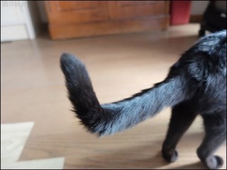 s-DSCF4635.jpg