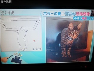 s-DSCF4692.jpg