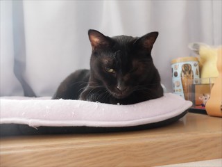 s-DSCF4826.jpg