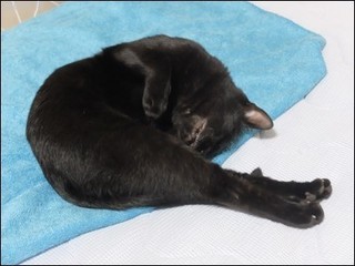 s-DSCF4850.jpg