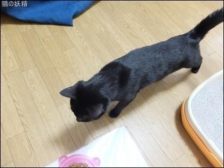s-DSCF4873.jpg