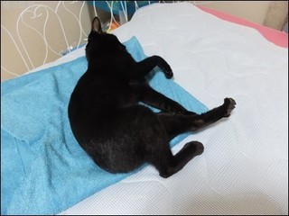 s-DSCF4881.jpg