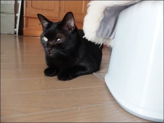 s-DSCF4885.jpg