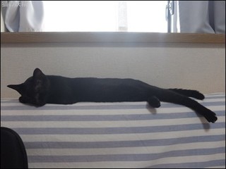 s-DSCF4905.jpg