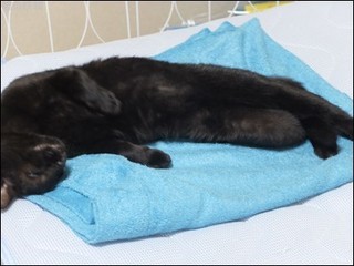 s-DSCF4909.jpg