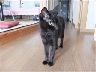 s-DSCF4919.jpg