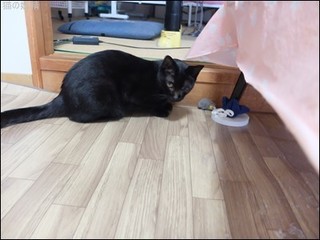 s-DSCF4920.jpg