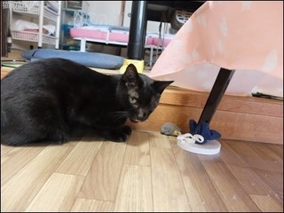 s-DSCF4922.jpg