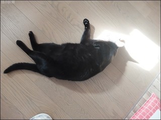 s-DSCF4934.jpg