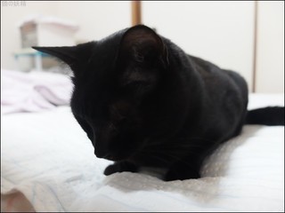 s-DSCF4944.jpg