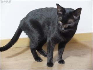 s-DSCF4949.jpg