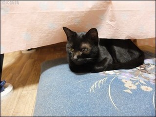 s-DSCF4951.jpg