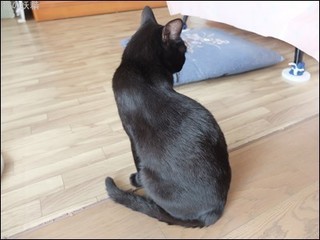 s-DSCF4974.jpg