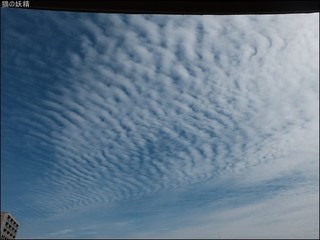 s-DSCF4983.jpg