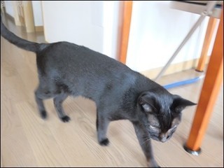 s-DSCF4984.jpg