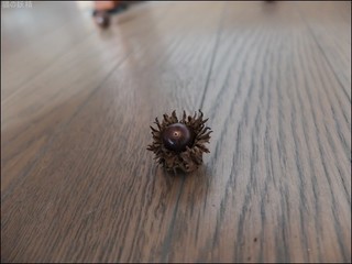 s-DSCF4988.jpg