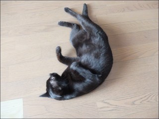 s-DSCF5002.jpg