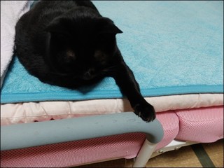 s-DSCF5003.jpg