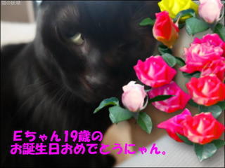 s-DSCF5072-0.jpg