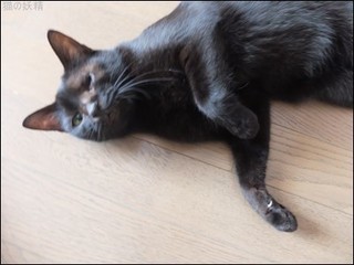 s-DSCF5118.jpg