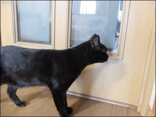s-DSCF5217.jpg