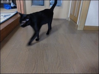 s-DSCF5220.jpg