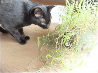 s-DSCF5251.jpg